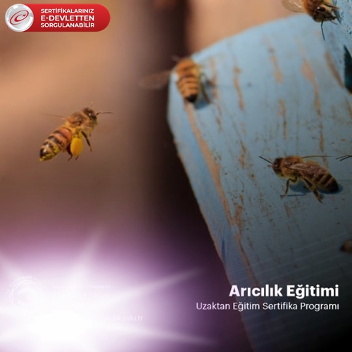 Arıcılık Sertifika Programı