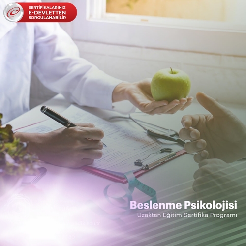 Beslenme Psikolojisi Sertifika Programı
