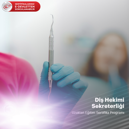 Diş Hekimi Sekterliği Sertifika Programı