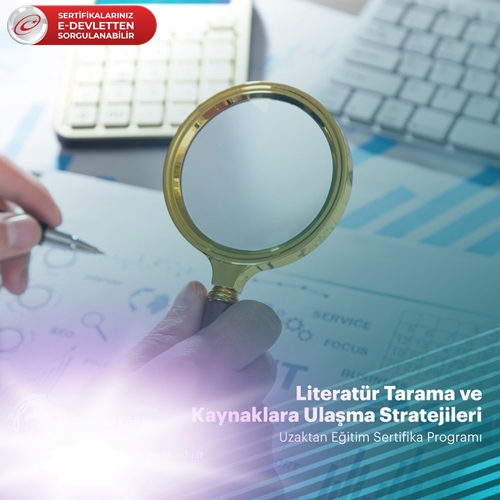 Literatür Tarama ve Kaynaklara Ulaşma Stratejileri