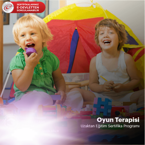 Oyun Terapisi Sertifikalı Eğitim Programı